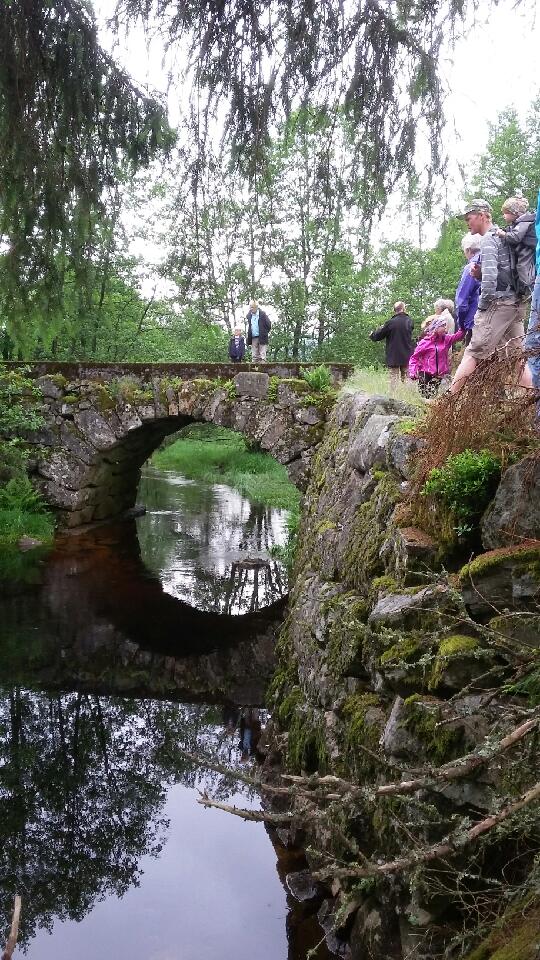 Logånabruna på Laudal